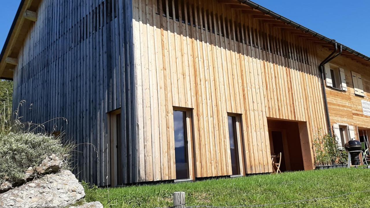 Ferienwohnung Schoenenbuehl Hittisau Exterior photo